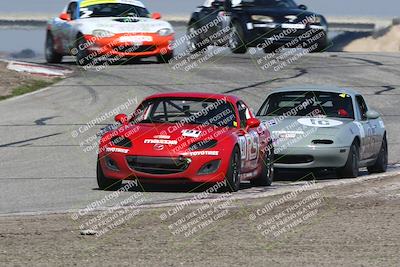 media/Feb-24-2024-CalClub SCCA (Sat) [[de4c0b3948]]/Group 5/Qualifying (Off Ramp)/